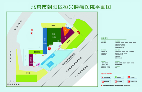 性爱黑逼北京市朝阳区桓兴肿瘤医院平面图